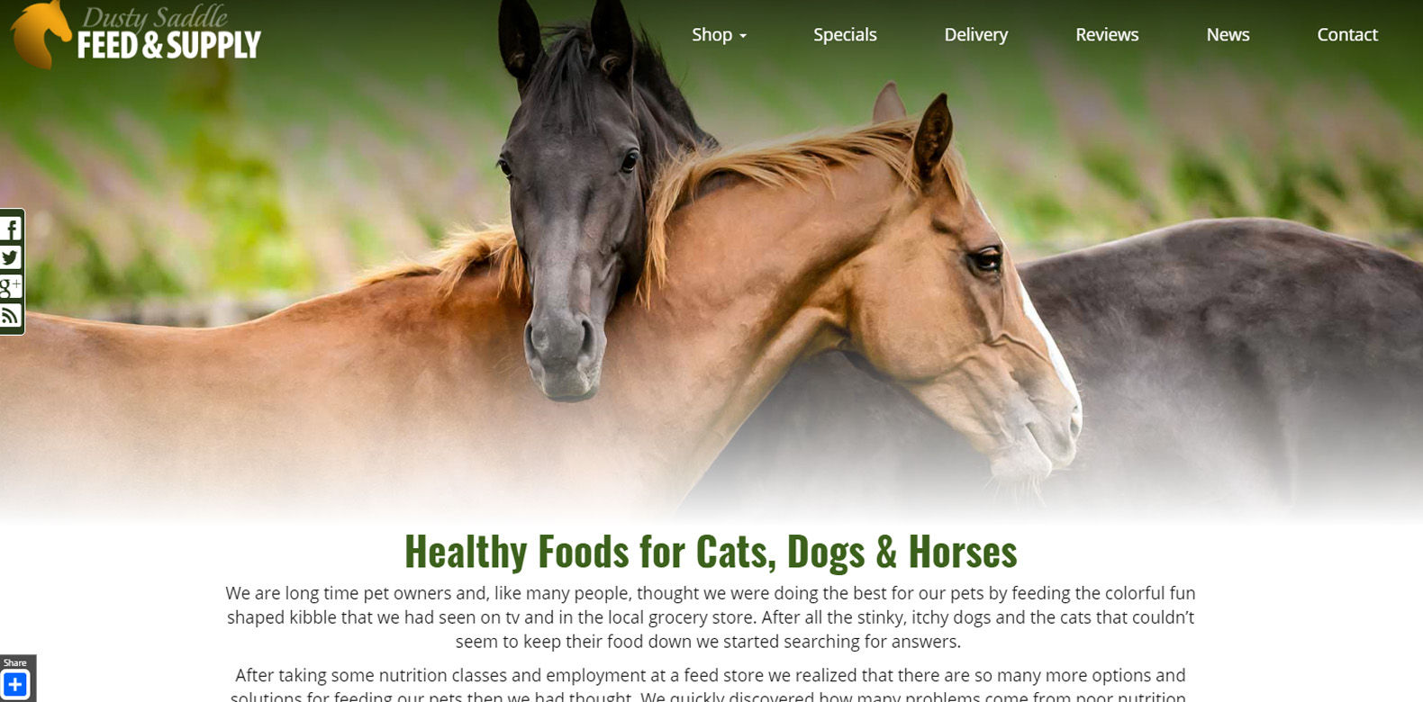 
New Website Launch: Dusty Saddle Feed & Supply