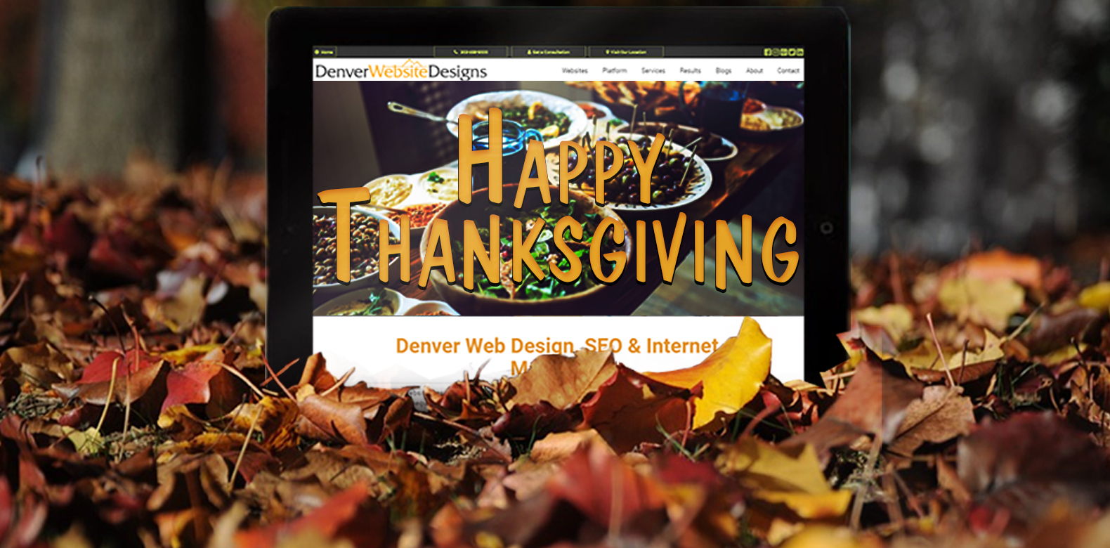 
Happy Thanksgiving from Denver Website Designs!