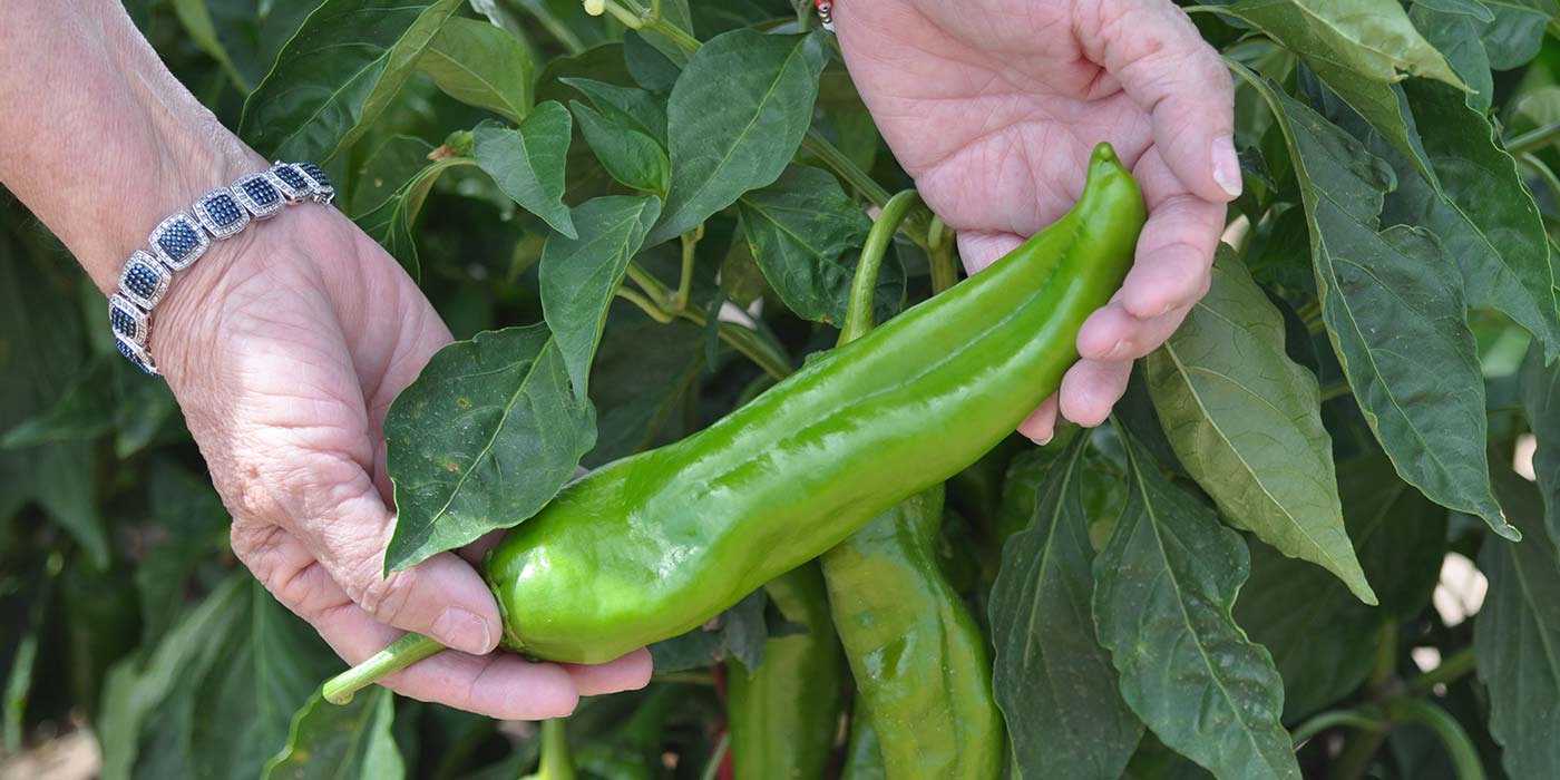 Santiago’s Mexican Restaurant