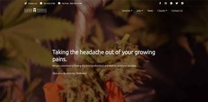 Marijuana Industry Staffing Agency Website
