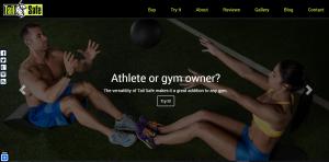 website-design-sports